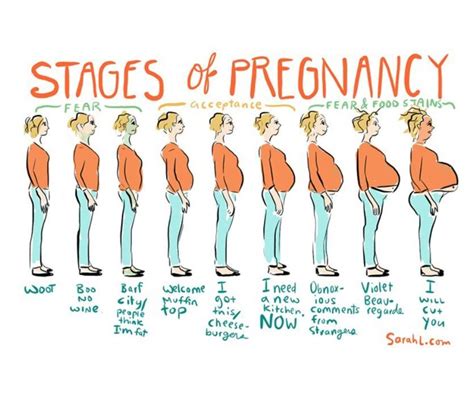 awesomekate|The stages of AwesomeKates first pregnancy : r/beforevsafter